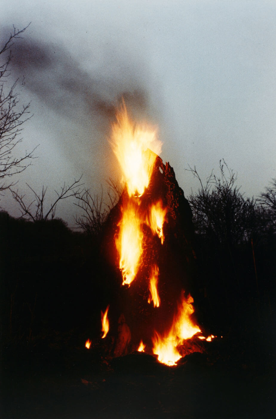 Ana Mendieta, Silueta Works in Iowa (Nr. 11), Kunstmuseum Luzern